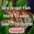 Are Angel Fish Hard To keep – The Queen Of The Aquarium