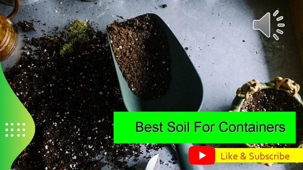 best soil for containers