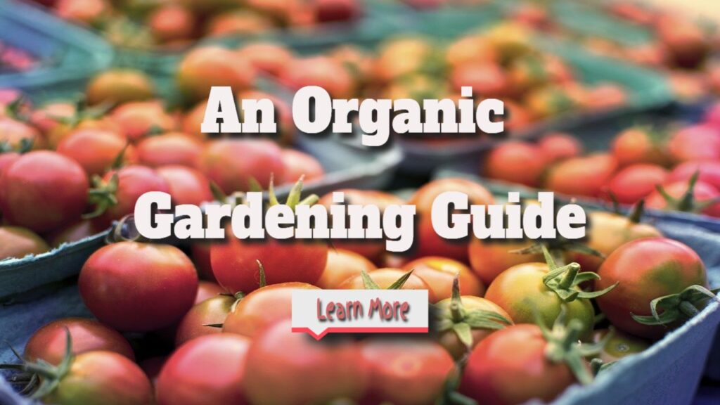 an organic gardening guide