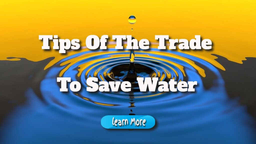 tips of the trade to save water