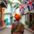 Belize’s English: Uncovering Colonial Influence and Identity