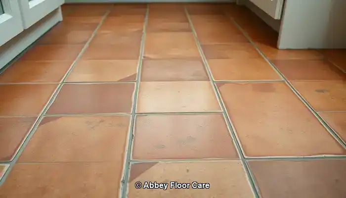 Understanding the Factors Leading to Quick Dirt Accumulation on Terracotta Floors