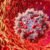 Ferritin Blood Test Guide for Bootle Residents’ Health