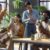 Pets in Workplace Wellness Boosts Employee Health