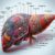 Liver Blood Test: Essential Guide for Maidstone Residents