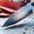 BBQ Carving Knife: Essential Tips for Sharpness Success