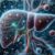 Best Herbs for Liver Detox: Top Picks in the UK