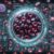 Ferritin Blood Test Guide for Warwick Residents