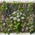 Herbal Remedies: Essential Guide for the UK