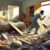 Pet Safety Checks in the Aftermath of an Earthquake