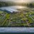 Herbs Selection Guide: Sourcing Quality in the UK