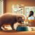 Weaning Schedules for Kittens: Key Tips and Timelines