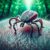 Lyme Disease Blood Test Guide for Fleet Residents